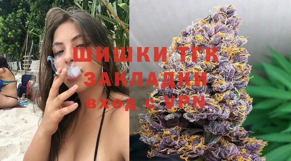 PSILOCYBIN Богданович